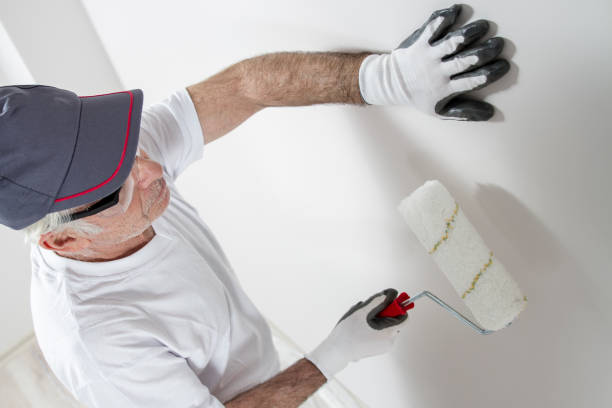 Best Basement Mold Removal  in Moss Bluff, LA